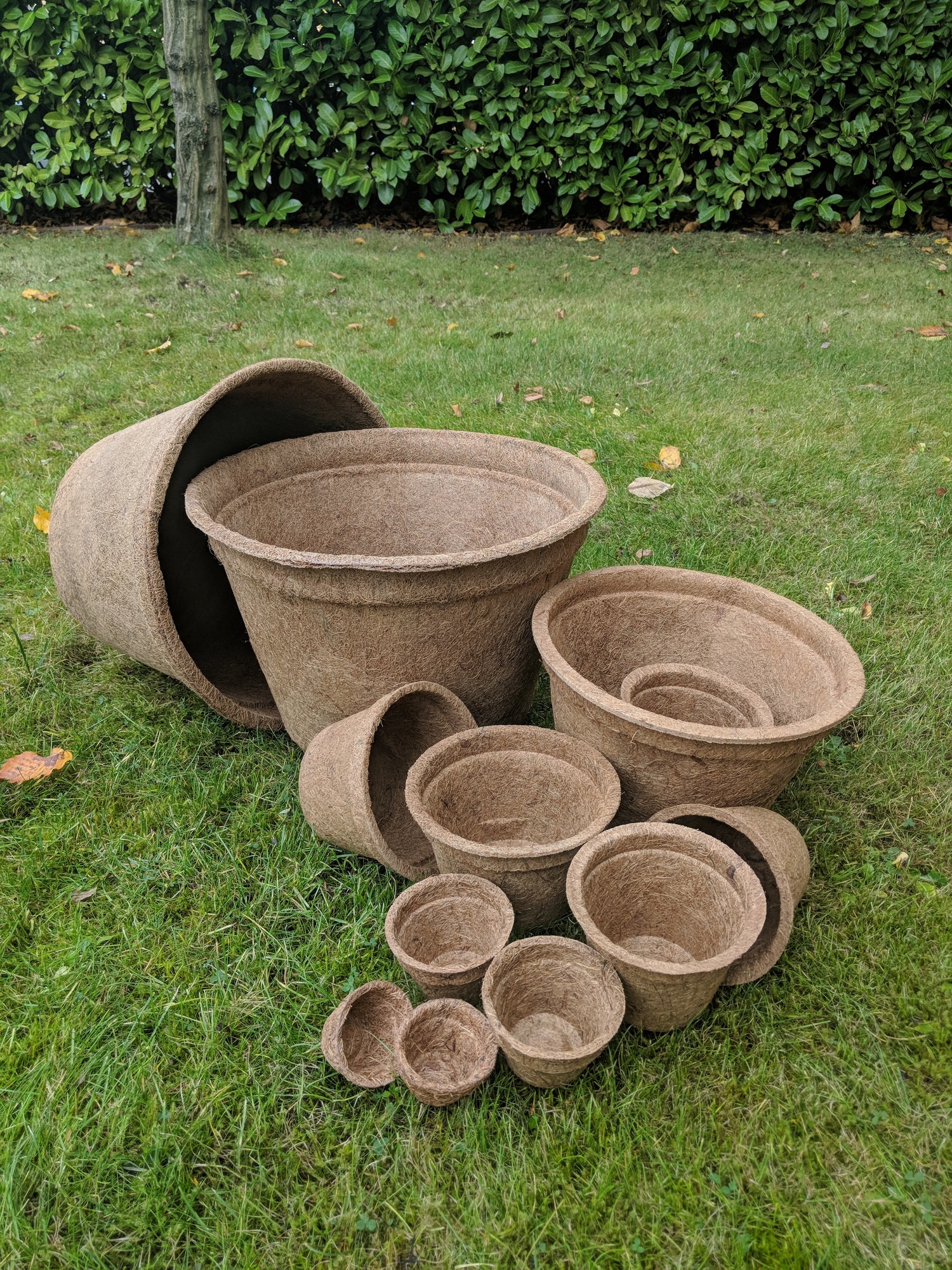 Coconut pots