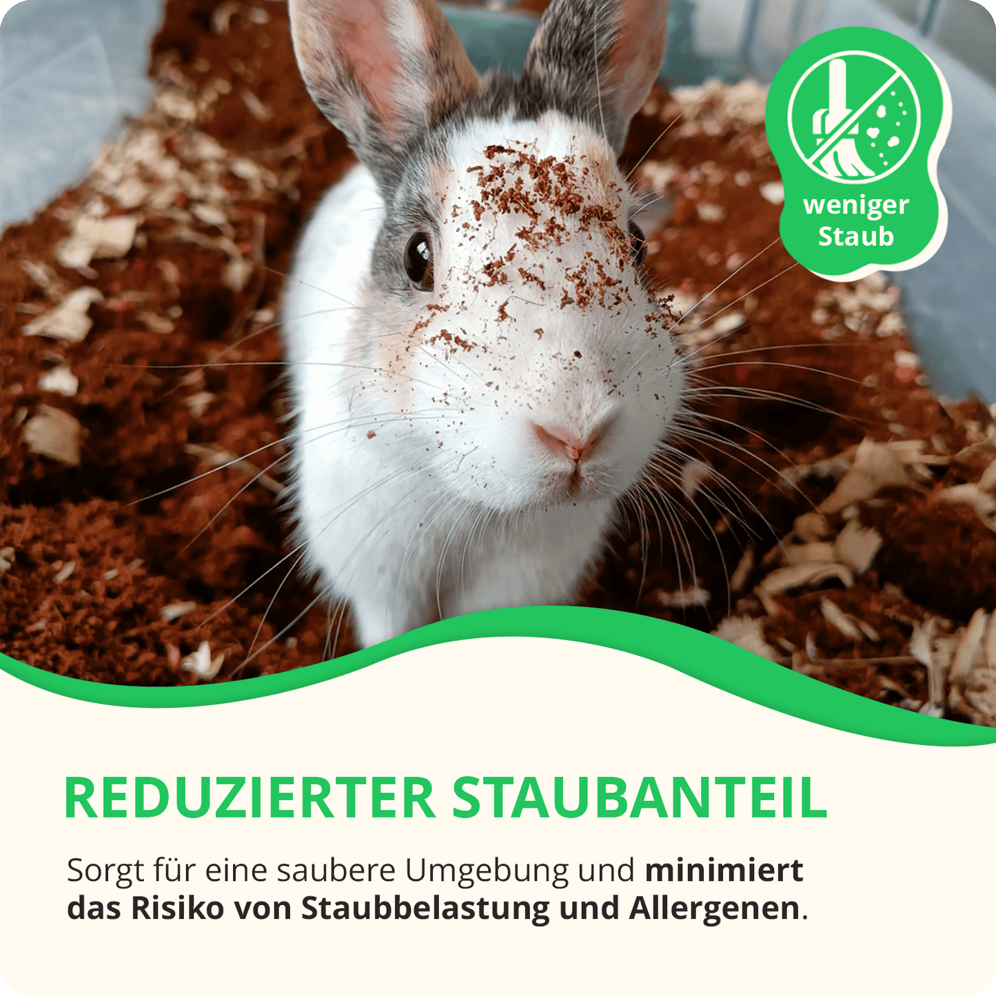 Kleintiereinstreu