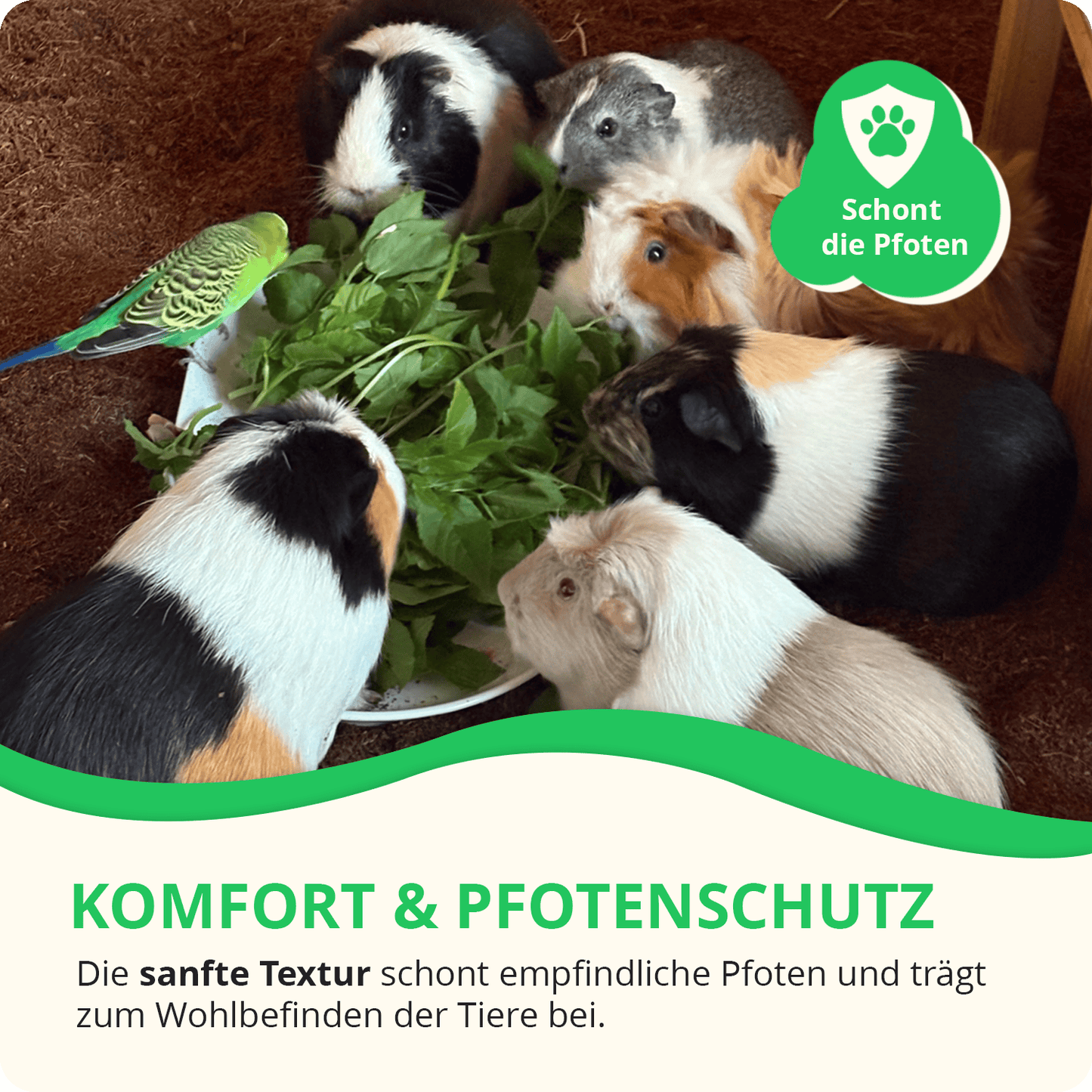 Kleintiereinstreu